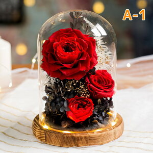 vU[h t[ ͂Ȃ  a  Mtg KN hCt[ t[ MtgKXh[ LEDCg ̂ aFB ̓ӂNւ̌hӋLOv[