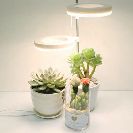 植物育成ライト 室内栽培ランプ LED 植物ライトスマート調光 USB DC 5V 12w 植物の成長 室内用 家庭菜園 多肉植物育成 水耕栽培 観葉植物 観賞用植物