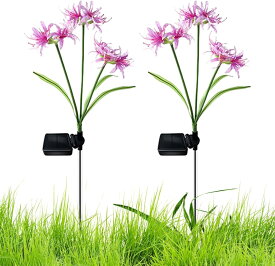 2個 ソーラー式ガーデンライト - 防水装飾用ステークライト セット - 再利用可能な照明アクセサリーと芝生装飾セット ガーデンライト 屋外防水ガーデン芝生ライト 地面プラグ 風景雰囲気ライト