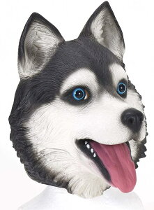 Aj}}XN NEW nXL[ w w RXv nEB NX}X  