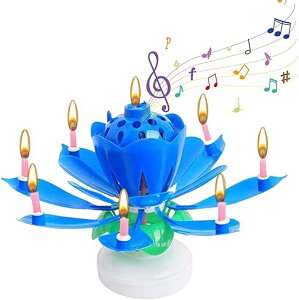 y6FIׂz@̉Ԃ̃P[LLh }WbNt[o[Xf[Lh JtɐMȂقǂ̃o[Xf[Lh ap[eB[Lh P[L Ԍ`L