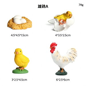 ɂƂ̐TCNtBMA A͌^  qwKߋ ɂƂ̐ߒ~j`A͌^ Y{ { mߋ {̃CtTCN u  OX ct 