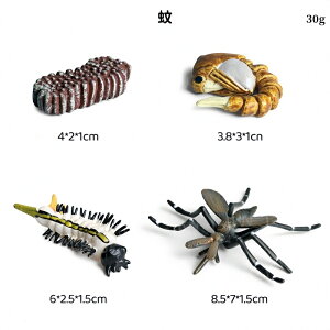 ̐TCNtBMA A͌^  qwKߋ ̐ߒ~j`A͌^  c   mߋ ̃CtTCN u  ct ۈ牀 wZ Ȋw