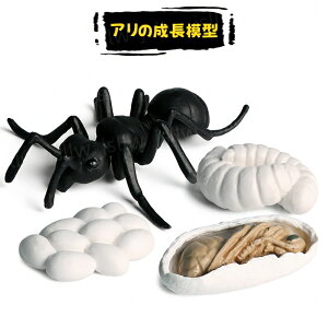 A̐TCNtBMA A͌^  qwKߋ A̐ߒ~j`A͌^  c TiM A mߋ ÃCtTCN u  ct ۈ牀 