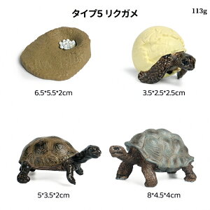 E~K&NK̐TCN͌^ A͌^  qwKߋ ݂߂̐ߒ~j`A͌^ mߋ 肭߂̃CtTCN u   ct wZ Ȋw