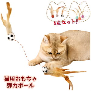 L  e̓{[ 6_Zbg Lpߋ tFU[{[ Hу{[ ˂{[ XgX ǐ  ^ oXPbg{[TbJ싅 Ht˂{[ LpC^NeBu 