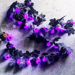 nEBCg  d ڋʃCg 3m 20 nEBObY LEDCg ڋʏ z[  fR[V p[eB[ dr iX Xܑ  O// L XH