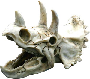  ANAE IuWF    B VF^[ I[ig u  