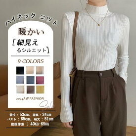 セーター リブニット レディース 秋冬 平干し おしゃれ ボーダー 暖かい リブニット レディース 秋冬 ハイネック・大人め高級魅力 重ね着に便利 着回し力 ニットソー カットソー トップス ニット 高伸缩 柔らかい 薄手 無地 長袖 縦リブ 着痩せ カジュアル シンプル 9色