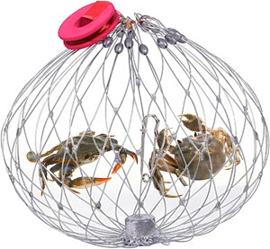 JjLb`[ X`[C[ ނgbv JjԃP[W  JjߊlP[W JgbvP[W Grc[ Gr|bg C[bV _J[