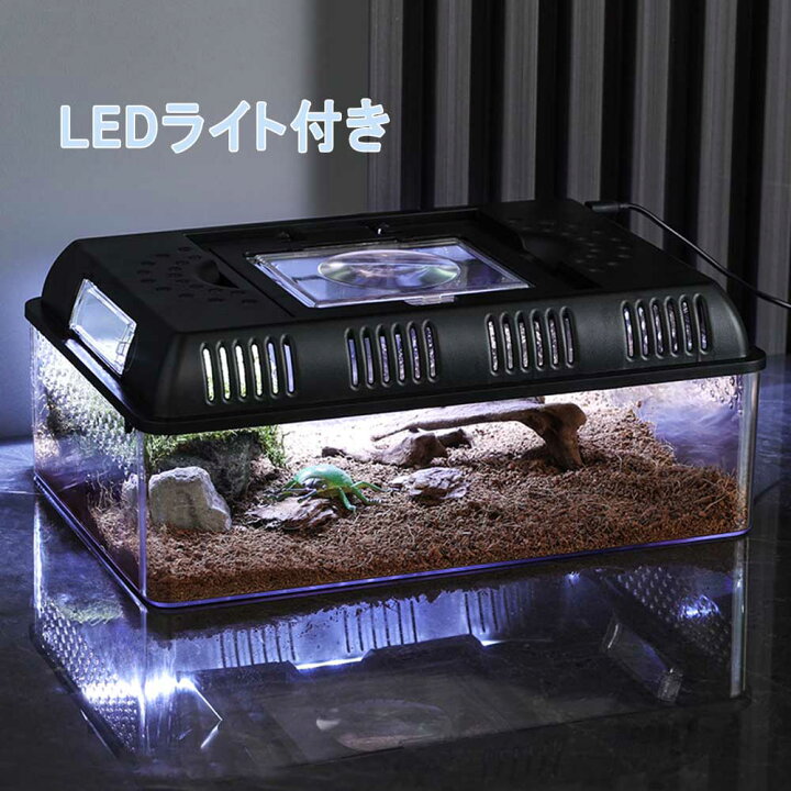楽天市場】爬虫類 ケージ 飼育ケース 爬虫類飼育箱 レプタイルボックス 