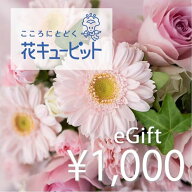 【2026/6/4 20:00~2026/6/11 1:59 ポイント2倍】【楽券】花キューピット 全国共通花とみどりのeチケット …