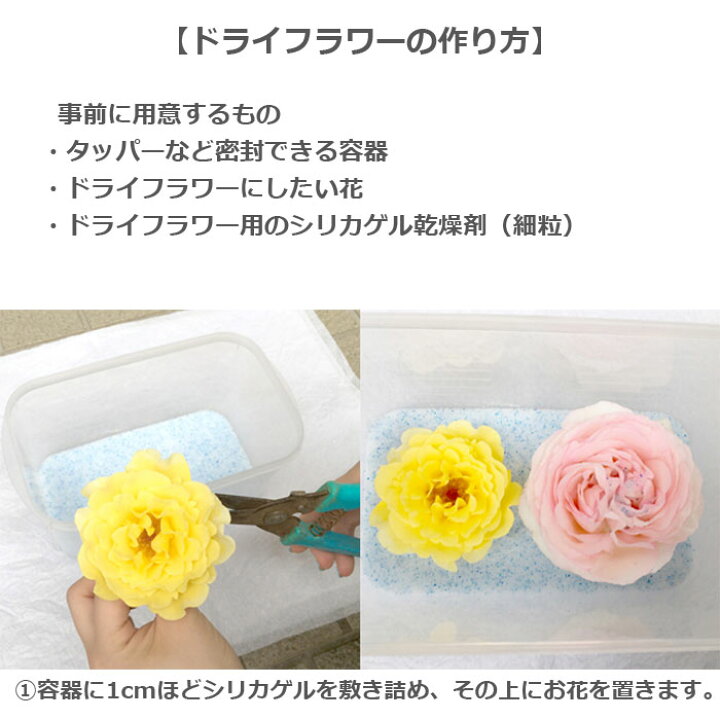 楽天市場 送料無料 シリカゲル ドライフラワー用 1kg 乾燥剤 くり返し使える 細粒シリカゲル ハンドメイド 材料 業務用 大容量 Ijinjin 500g 2袋 計1kg Df500g 2袋 ラクガイ 楽天市場店