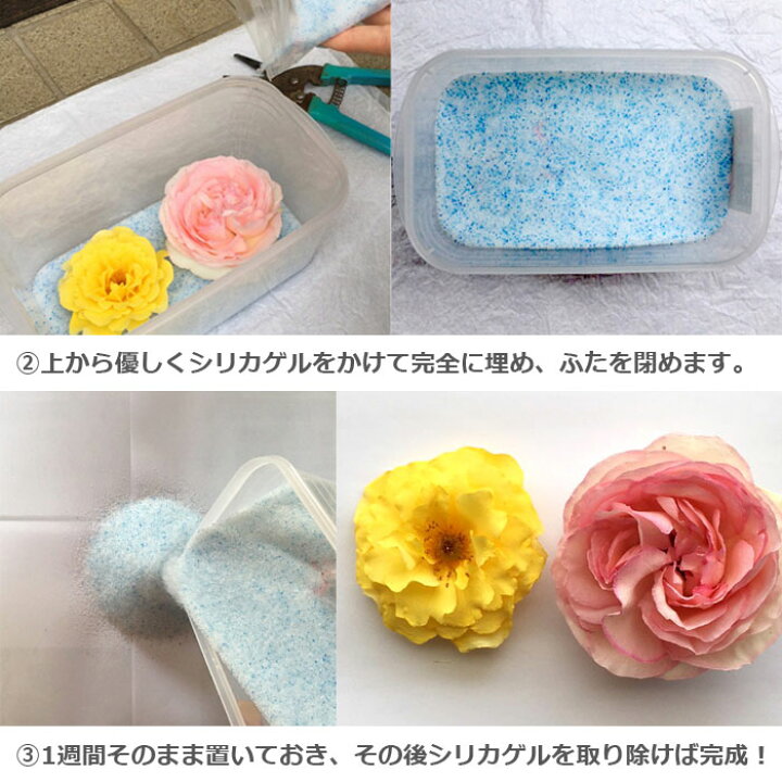 シリカゲル ドライフラワー用乾燥剤 1kg 豊田化工株式会社 細粒タイプ ボトルフラワー ブーケ ポプリ リース ハンドメイド ハンドメイド Various ドライフラワー用乾燥剤 シリカゲル Cmpramosmejia Com Ar シリカゲル ドライフラワー用乾燥剤 1kg 豊田化工株式会社 細粒タイプ ボトルフラワー ブーケ ポプリ リース ハンドメイド ハンドメイド Various ドライフラワー用乾燥剤 シリカゲル Cmpramosmejia Com Ar
