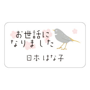 bɂȂ܂ V[ 65 ꖳ 낵肢܂ 肪Ƃ܂  킢 bZ[WV[ Ƃ