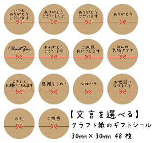 Ntg V[ ۂ bZ[WV[  48 a3cm