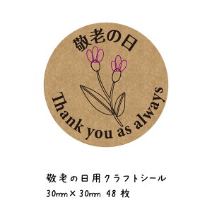 hV̓ Mtg V[ Ntg   aF30mm 48  crm48b00 ̓ ̓