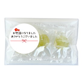 お世話になりました プチギフト のどあめちゃん 3個 × 10袋 メッセージ シール メッセージ ギフト プチギフト プレゼント キャンディー 飴 お菓子 菓子 挨拶 ありがとう お礼 退職 異動 あいさつ 感謝 かわいい 可愛い 女性 個包装 子供 ばらまき 挨拶回り