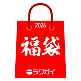 ラクガイ 福袋 日常に使える乾燥剤 2g×20個 ×2袋 セット 乾燥剤 シリカゲル 除湿剤 日本製 2026 初売り