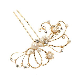 _lC^  l U a 񂴂@tFU[Ƀp[CXg[  Ǝ  w wAANZT[ EFfBO OB p[eB[ Ԃ 匴X S[