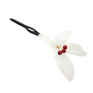 _lC^  a ̉ 񂴂 F  Ǝ w wAANZT[ EFfBO OB p[eB[ Ԃ 匴X 