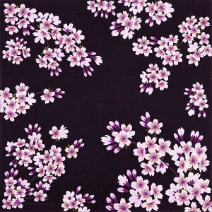 MISATO ASAYAMA ȏC~ ӂ낵 (50cm) ꏡ ٓ hV̓ ̓ ̓ NX}X zCgf[