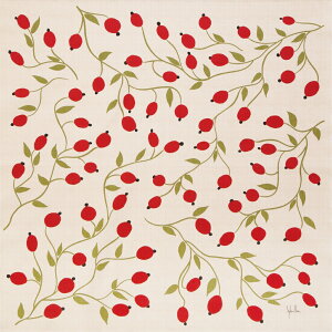 Vr ȕC~ Sybilla OZC(x[W)(75cm) GRobO Mtg v[g   ꏡ 70cm 킢 hV̓ ̓ ̓ NX}X zCgf[