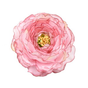  l   a iLX RT[W Nbv Up EFfBO   wAANZT[ wbhhX O  bh sN IW