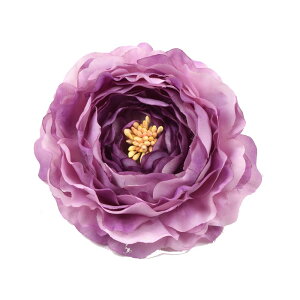  l   a iLX RT[W Nbv Up EFfBO   wAANZT[ wbhhX O  bh sN IW