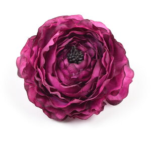  l   a iLX RT[W Nbv Up EFfBO   wAANZT[ wbhhX O  bh sN IW