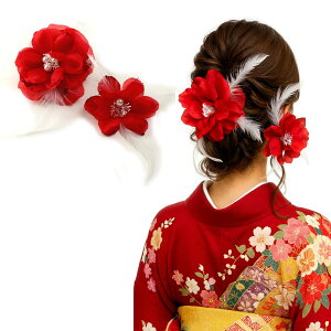  l  a tFU[tORT[W bh Up EFfBO   wAANZT[ wbhhX