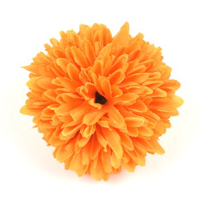  l   a s|} L Us Up EFfBO q   wAANZT[ wbhhX O  sN IW ubN zCg x[W S[h