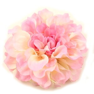  l   a _A Nbv Up EFfBO   wAANZT[ wbhhX bh sN zCg x[W