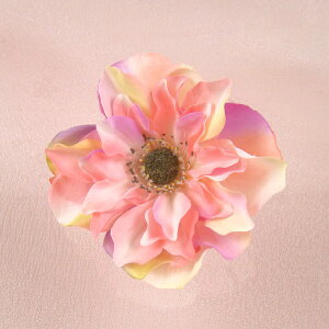   a NbvRT[W sN   wAANZT[ wbhhX