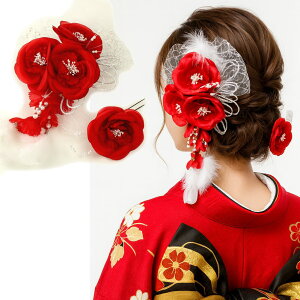  l  a ؂₩t@[tgv[YRT[W  Up EFfBO   wAANZT[ wbhhX