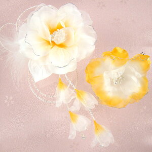  l  a ؂₩t@[tVtHRT[W R Up EFfBO   wAANZT[ wbhhX