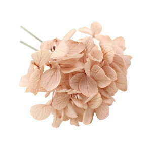  l   a  z hCt[ 1{ Up EFfBO   wAANZT[ wbhhX bh sN zCg