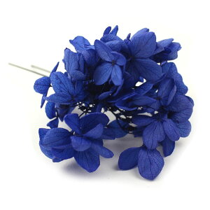  l   a  z hCt[ 1{ Up EFfBO   wAANZT[ wbhhX bh sN zCg