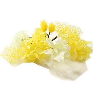  l  a }  hCt[ vU[uht[ 10_Zbg Up EFfBO Ǝ    wAANZT[ wbhhX ݑ bh zCg