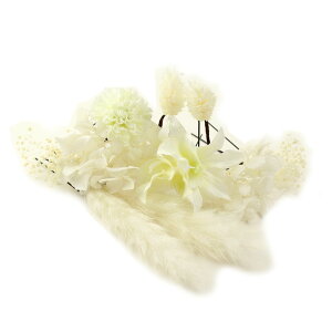  l  a }  hCt[ vU[uht[ 10_Zbg Up EFfBO Ǝ    wAANZT[ wbhhX ݑ bh zCg