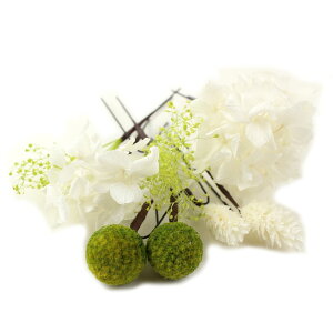  l  a hCt[ vU[uht[ 8_Zbg Up EFfBO Ǝ    wAANZT[ wbhhX ݑ zCg