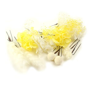 ������ ���l�� ������ �a�� �h���C�t�����[ �v���U�[�u�h�t�����[ 14�_�Z�b�g �U���p �E�F�f�B���O ���Ǝ� �� �� ���� �w�A�A�N�Z�T���[ �w�b�h�h���X �����ݑ� ���b�h �z���C�g �S�[���h