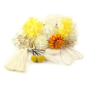  l  a } hCt[ vU[uht[ 16_Zbg Up EFfBO Ǝ    wAANZT[ wbhhX ݑ  bh