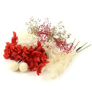 ������ ���l�� ������ �a�� �h���C�t�����[ �v���U�[�u�h�t�����[ 12�_�Z�b�g �U���p �E�F�f�B���O ���Ǝ� �� �� ���� �w�A�A�N�Z�T���[ �w�b�h�h���X �����ݑ� ���b�h �z���C�g �S�[���h