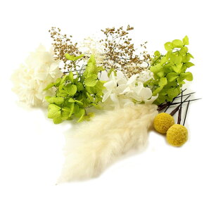  l  a hCt[ vU[uht[ 12_Zbg Up EFfBO Ǝ    wAANZT[ wbhhX ݑ bh zCg S[h