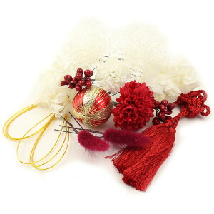  l  a vU[uht[ 14_Zbg a Up EFfBO Ǝ    wAANZT[ wbhhX ݑ   sN