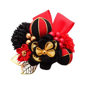  l  a Arenca ܂ݍ׍H {    11_@Us Up EFfBO   wAANZT[ wbhhX   