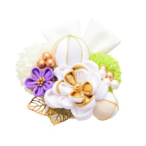  l  a Arenca ܂ݍ׍H {    11_@Us Up EFfBO   wAANZT[ wbhhX   