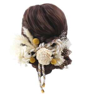  l  a vU[uht[ 13_Zbg Up EFfBO Ǝ    wAANZT[ wbhhX ݑ