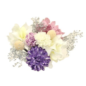  l  a vU[uht[ 11_Zbg Up EFfBO Ǝ    wAANZT[ wbhhX sN